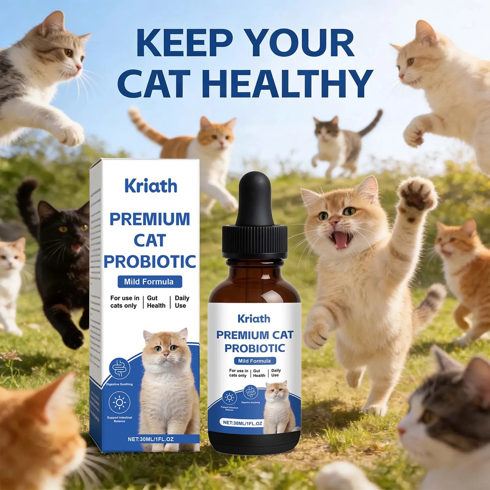 Premium Cat Probiotic Promote Digestion Soothing Support Intestinal Balance Maintains Healthy Gut Microbiota Cat Probiotic Drops