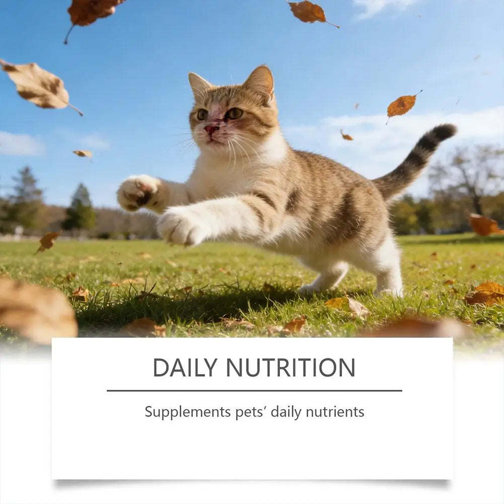 Cat Taurine Powder Support Heart Health Promote Healthy Growth Maintain Visual Function Smooth Hair Kitten Care Nutrition Powder